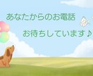大切なペットちゃんの自慢話などお聴き致します ご看病中の方ペットロスの方も優しく寄り添いお話お聴き致します イメージ10