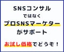 プロがあなたのSNS運用の問題点を指摘します 「SNS運用のプロがあなたの弱点を徹底分析＆改善提案」 イメージ1