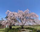 自宅療養　入院闘病生活♡(内緒　心の声)を聴きます 入院経験者とお話し♡不安　孤独　病気　怪我痛み　医療介護保険 イメージ9
