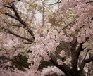 写真編集•加工します 家族の思い出の写真をより美しく！ イメージ9