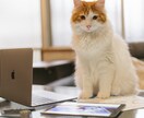個人事業・法人＊見やすいホームページを制作します ヘッダーやバナー・簡易SEO対策・導線設計・レスポンシブ イメージ1