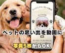 ペットの思い出を感動動画にします 写真5枚からOK｜心に残る動画制作 イメージ1
