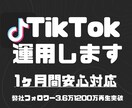 本気のTikTokアカウント運用1ヶ月行います 【安心の24時間対応可能】バズるTikTok運用！ イメージ1