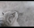 愛犬、愛猫、ペットのリアルな似顔絵オーダー承ります 精密描写で描きます。インテリアアートなどにいかがでしょうか。 イメージ1