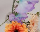写真をフィルム風な雰囲気にレタッチします 撮影したお写真をフィルム風なエモい雰囲気に仕上げます！ イメージ2