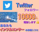 究極！Twitterフォロワー増加１万人増加します 気取りたい方や副業の目的の方必見サービスです。 イメージ2