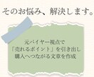元バイヤーが「欲しい」を作る紹介文を執筆します 売れる見せ方を知るプロが、あなたの商品の『価値』を言語化！ イメージ3