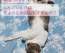 しんどいこと、楽しかったこと、お聞きします 誰か聞いて〜！、それ、毒親育ちのオタクがお聞きします。 イメージ1