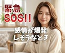 緊急SOS ！感情が爆発！今すぐ話したいを聴きます 限界が来る前に孤独な一人ぼっちのこころに全力で寄添います イメージ1