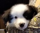 今あなたが話したいことなんでも聞きます 友達感覚で気軽に話しませんか？言葉にすれば楽になるかもです！ イメージ1