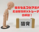 猫背・巻き肩の姿勢改善をサポートします 肩の詰まりやコリ・姿勢崩れを整えたい方へ イメージ1