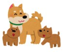仔犬のしつけ相談承ります 飼い始めに起こる様々なトラブル解決します イメージ1