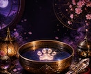 ペットと繋がり【霊視】で気持ちをお伝えします 何を考えているのか、普段聞けない事がわかります イメージ2