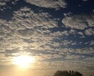 アーユルヴェーダ健康カウンセリング♪ イメージ3