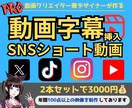 2本分セット】ショート動画の字幕テロップ挿入します YouTube、Tiktok、インスタグラム等SNS動画編集 イメージ1