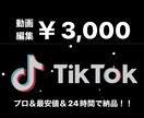 プロが最安値で！tiktok等動画作成をします 大手企業での広告動画作成経験あり！ご希望に合わせて動画作成！ イメージ1