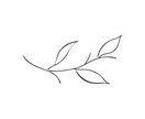 ナチュラル・シンプルな花のイラストをお描きします リーフレットやHPの挿絵、手帳などのデジタルスタンプにも イメージ7