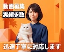 迅速・高品質▪️SNS動画編集代行します YouTube・セミナー・対談・マルチカメラ・研修動画対応 イメージ1