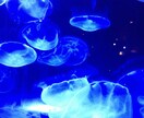 LINE間隔で気軽にお話します 電話で言いづらいことでも気軽にどうぞ♪ イメージ1