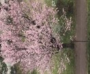 心のすき間埋めます 愚痴や悩みなんでも受け止めます！ イメージ1