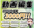 企業PR・Vlog・広告など動画の編集承ります 経験豊富のエディターが編集します！！！ イメージ1
