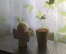 絵占寿 明咲　占い電話相談、承ります 悔い無き人生の為に☆心身魂、ガイドからのメッセージを伝えます イメージ6