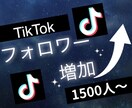 Tiktokフォロワー1500人増加します Tiktokフォロワー増えない悩みを改善 イメージ1