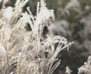 淡色・フィルム風♡おしゃれな写真加工します 思い出の写真を理想の雰囲気に仕上げます(*´˘`*)♡ イメージ7