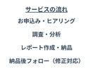 スタートアップ向け！市場分析/競合分析します 経営のプロが、市場を制し、競合を超えるデータ戦略を提供！ イメージ3