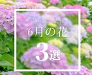 インスタグラム フィード投稿用の画像を作成します おしゃれ　見やすい  つたわる　サムネイル イメージ10