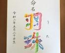 縁起の良い花文字で命名書をお書きします 明るい未来を描く花文字命名書（色紙／送料込） イメージ4