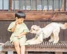 愛するペットとの幸せな瞬間を写真に残します 愛するペットとの特別な瞬間を形に イメージ7