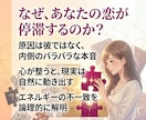 過去の記憶を解放し今の自分を愛せるよう導きます 答えはいつもあなたの中に。前世から届く幸せへの招待状を解読。 イメージ3