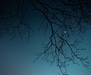 高位精霊との霊視で、二人の魂を愛ある未来へ導きます 【先の光が見えず不安な方へ】未来は変えれる。※初回限定価格 イメージ8