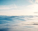 ペットの心を読み取り絆を深めます ペットの想いを霊視し、お伝えいたします イメージ5