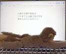 パニック発作や不安感のある瞬間に寄り添います 心理カウンセラー×パニック障害経験者が苦しみを共有します✿ イメージ3
