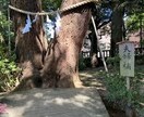 縁結び最強のパワースポットに代理参拝いたします 縁結びで有名な武蔵一宮　氷川神社総本社 イメージ4