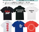 オリジナルTシャツを作成します ご要望にお応えできるようにお客様とのやり取りを心がけています イメージ3