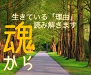 カードリーディングで、原因、状況を簡単に分析します 初心者歓迎！悩みの全体像をタロットやオラクルで読み解きたい方 イメージ1