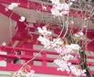 周易　三変筮法で 3つの迷いまで鑑定します 入社事前対策　易占で心の準備をしませんか (2月応援価格) イメージ6