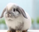 可愛い動物モチーフのアイコン、イラスト作ります 可愛らしい動物モチーフの画像で癒されよう♡ イメージ2