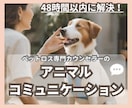 チャットでお答え！ペットちゃんとお話します 生死不問！ペットちゃんのお気持ちをきいてみませんか？ イメージ1