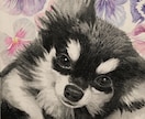 写真からリアルな鉛筆・色鉛筆の似顔絵をお届けします 動物好きな画家が心を込めて絵がきます。 イメージ3