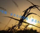 1〜3カットまで！広告等で使える写真を提供します 使い勝手の良い写真をお求めの方に！ イメージ3