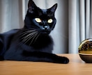 黒猫タロット　本日返信24時間以内になります テキスト鑑定です。恋愛、復縁、仕事、その他　長文歓迎です イメージ4
