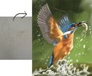 写真やアナログイラストをデジタルイラストに整えます アイコンや挿絵に!高クオリティのデジタルイラストに仕上げます イメージ5