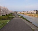臨床検査技師のお悩み聞きます 愚痴を聞かせてください。リフレッシュしましょう！ イメージ1