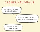 プロとして実績300件以上！インスタ運用します 実績300件以上！プロがビジネスのためのインスタ運用します イメージ3