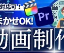 安心のクオリティで動画制作・編集承ります 制作・編集お任せください。プロジェクトをサポートいたします イメージ1