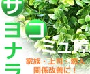 コミュニケーションの悩みを明確に解決します コミュ障、上司部下、夫婦、恋人、人間関係で悩むのはヤメです イメージ1
